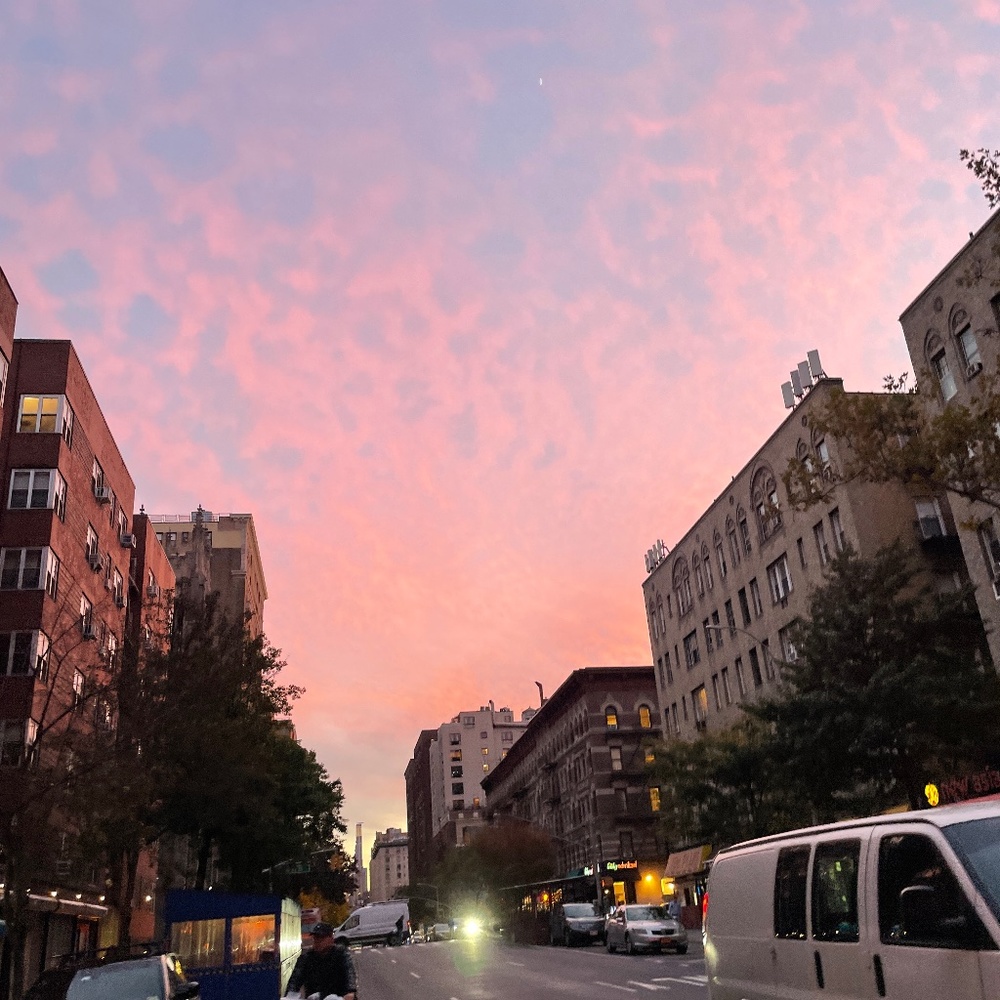 Meet your Posher, Phillip